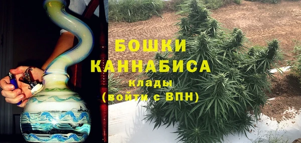 spice Богородицк