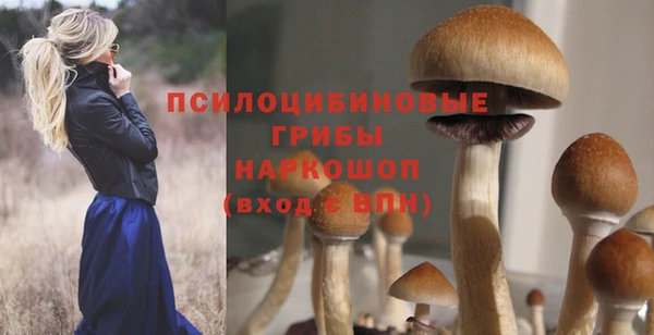 2c-b Бугульма