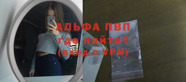 spice Богородицк