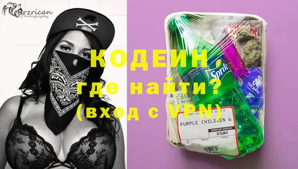 spice Богородицк