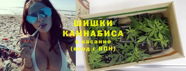 spice Богородицк