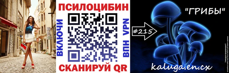 Псилоцибиновые грибы Psilocybine cubensis  Кизел 